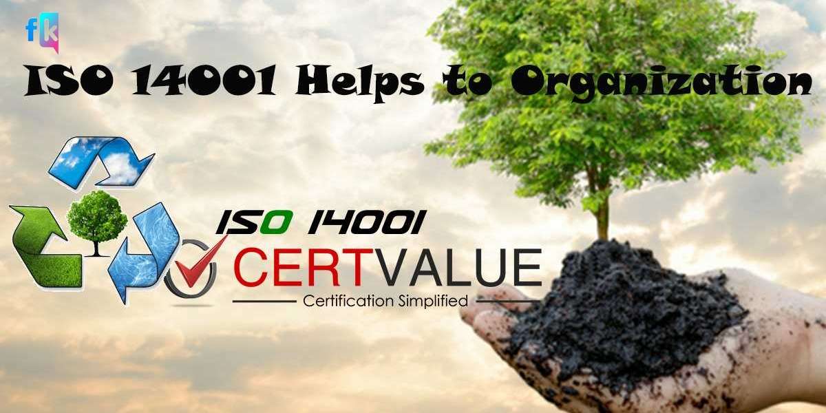 What are the steps to get ISO 14001 Certification in Tanzania