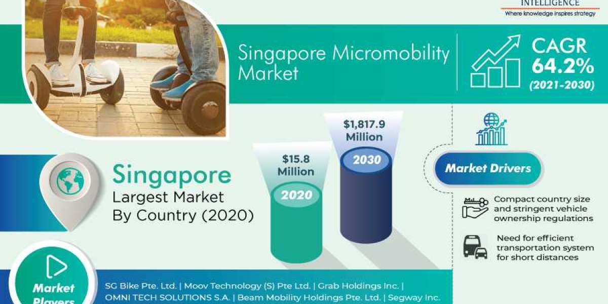Singapore Micromobility Market Key Reasons For the Present